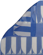 Blue and White Silk Scarf